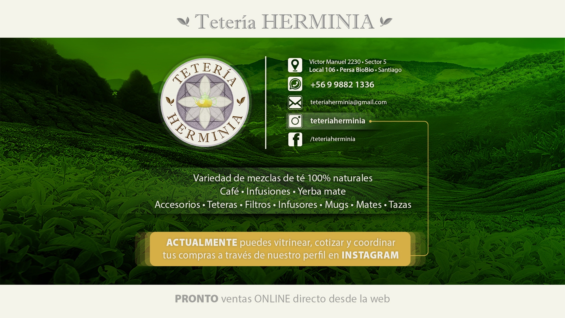 gallery/webteteria2